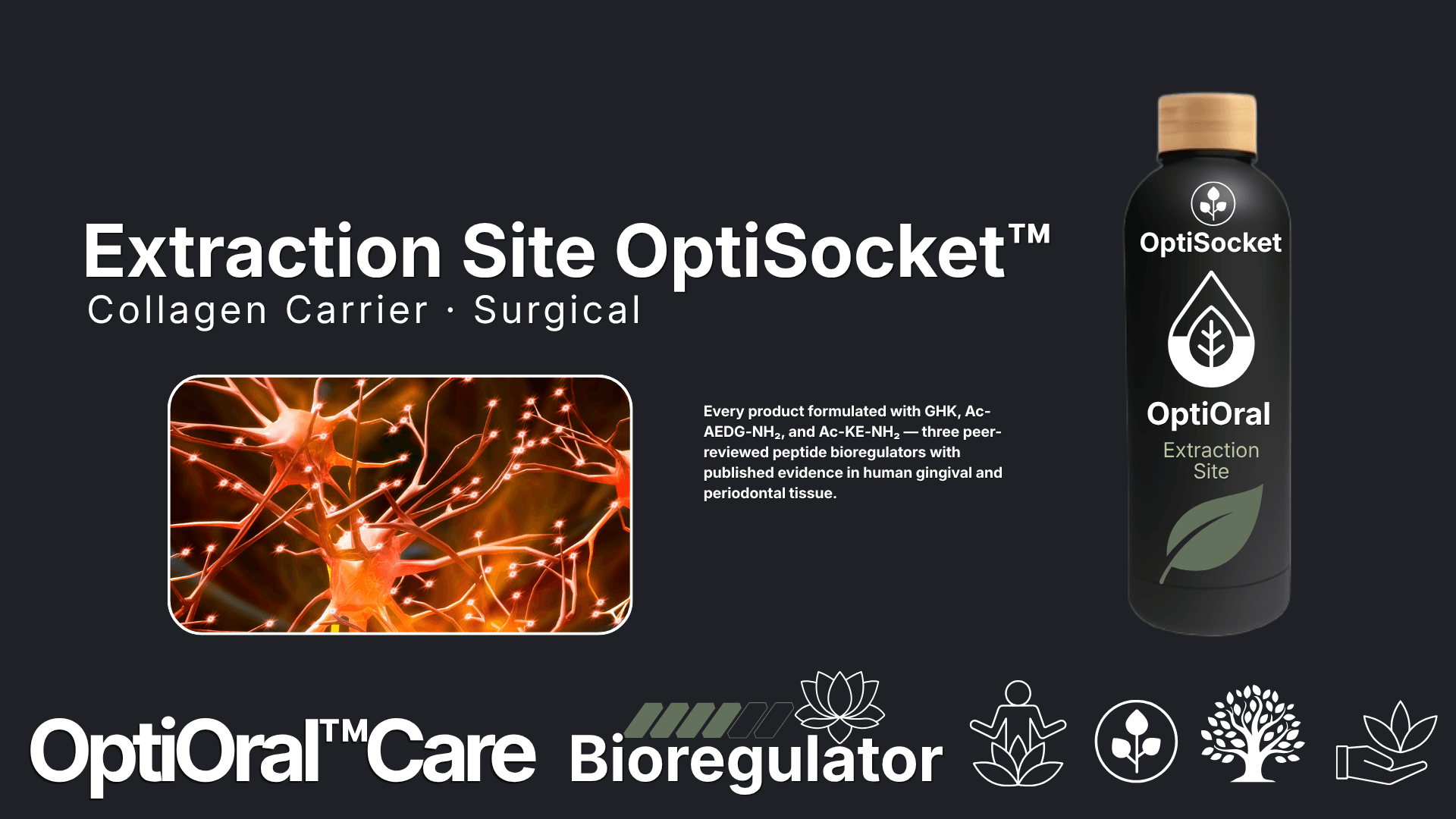 OptiOral Socket — Extraction Site Collagen Carrier